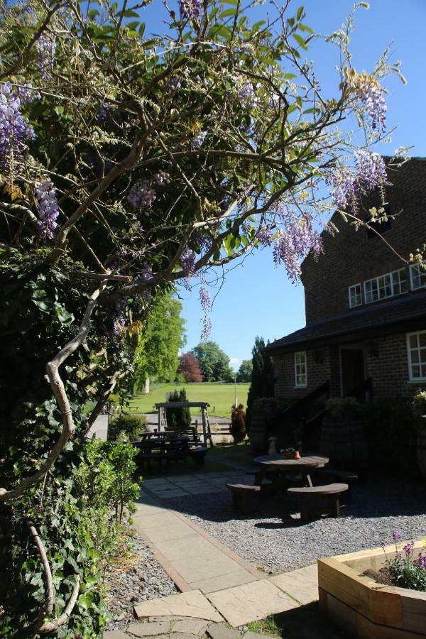 The Red Lion & Cellar Room, Betchworth Экстерьер фото